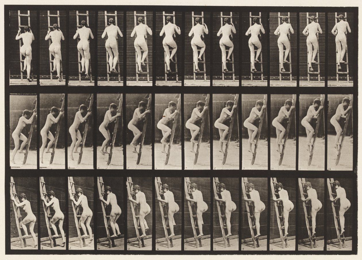 Plade 112. Opstigende Stige af Eadweard Muybridge