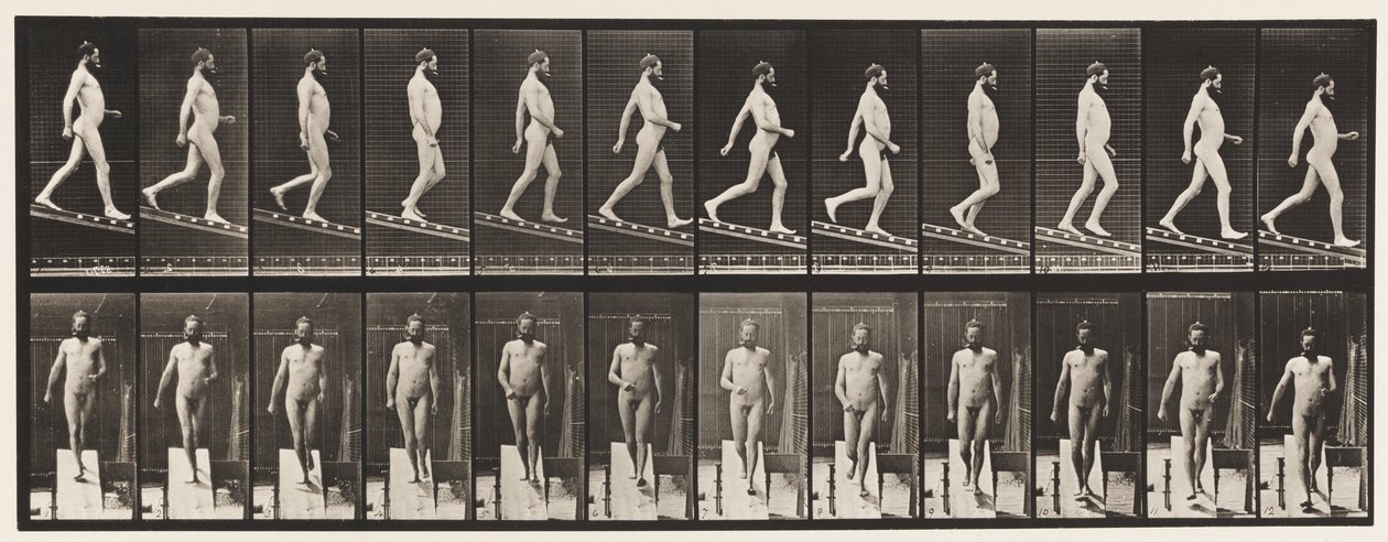 Plade 113. Descending Incline, 1 i 4, 1872-1885 af Eadweard Muybridge