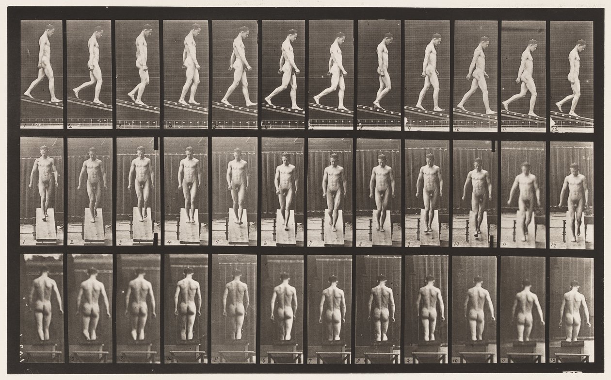 Plade 114. Faldende hældning, vinkel 1 i 4, 1872-1885 af Eadweard Muybridge
