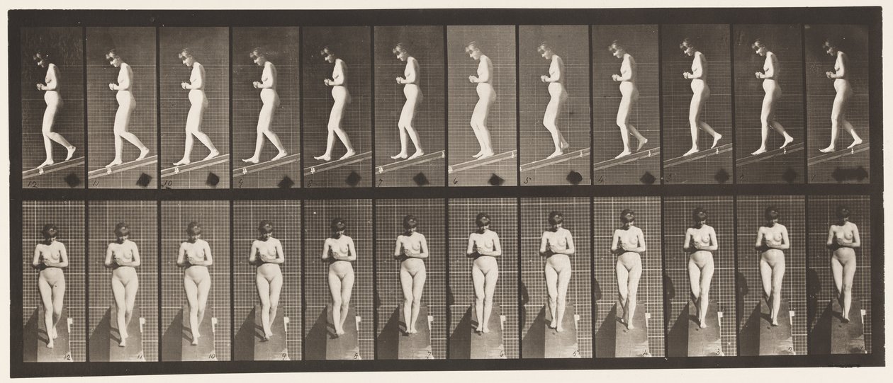 Plade 115. Nedadgående hældning med hænderne spændt foran af Eadweard Muybridge
