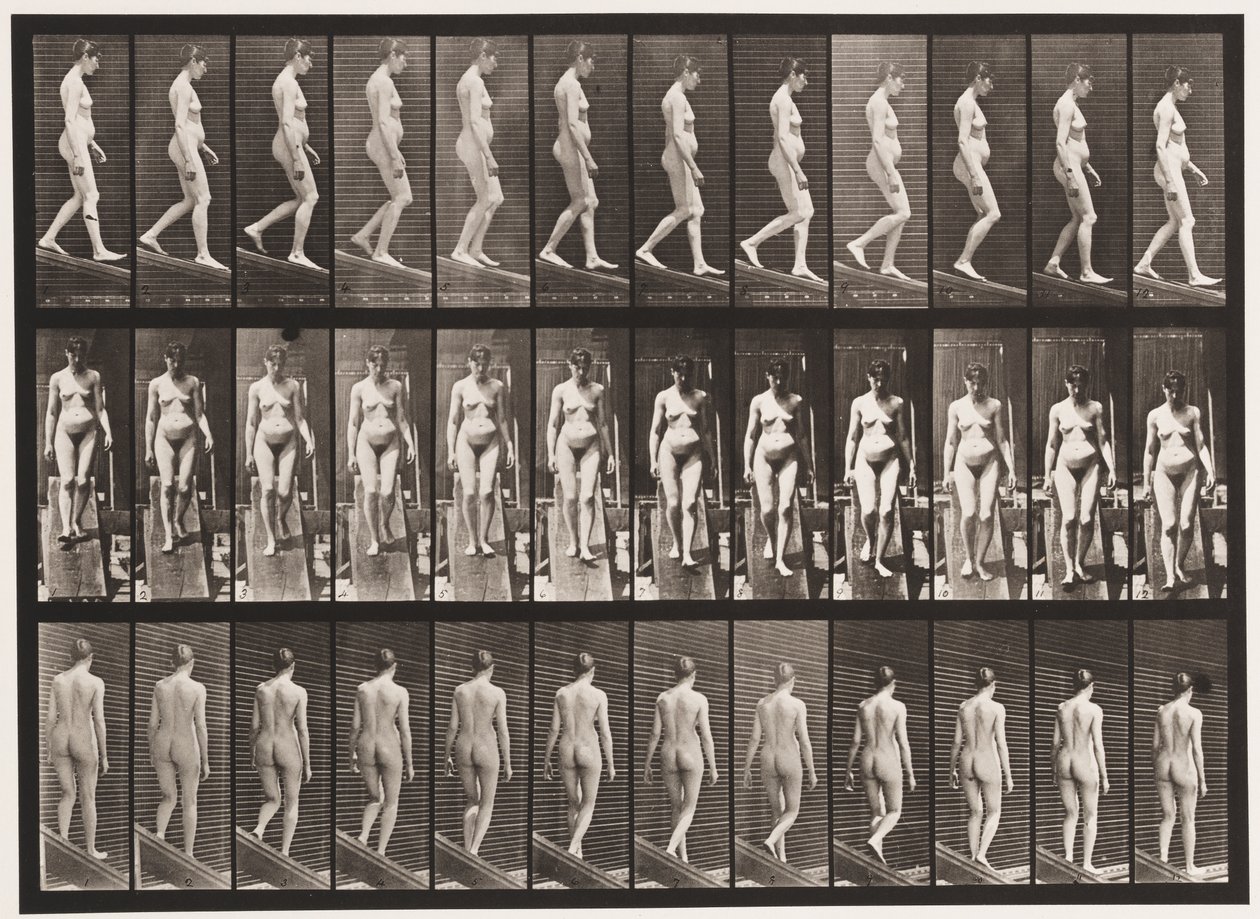 Tavle 117. Descending Incline, 1872-1885 af Eadweard Muybridge