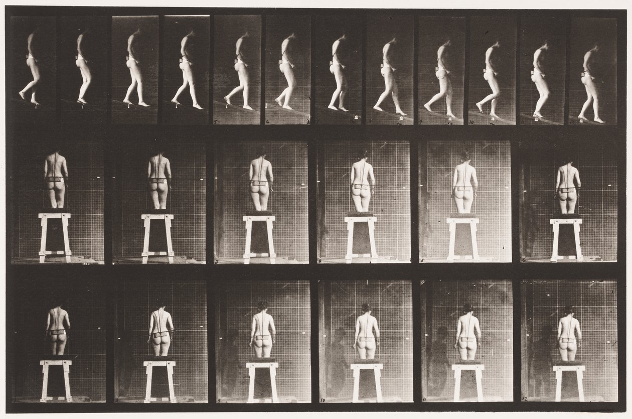 Plade 118. Faldende Hældning af Eadweard Muybridge