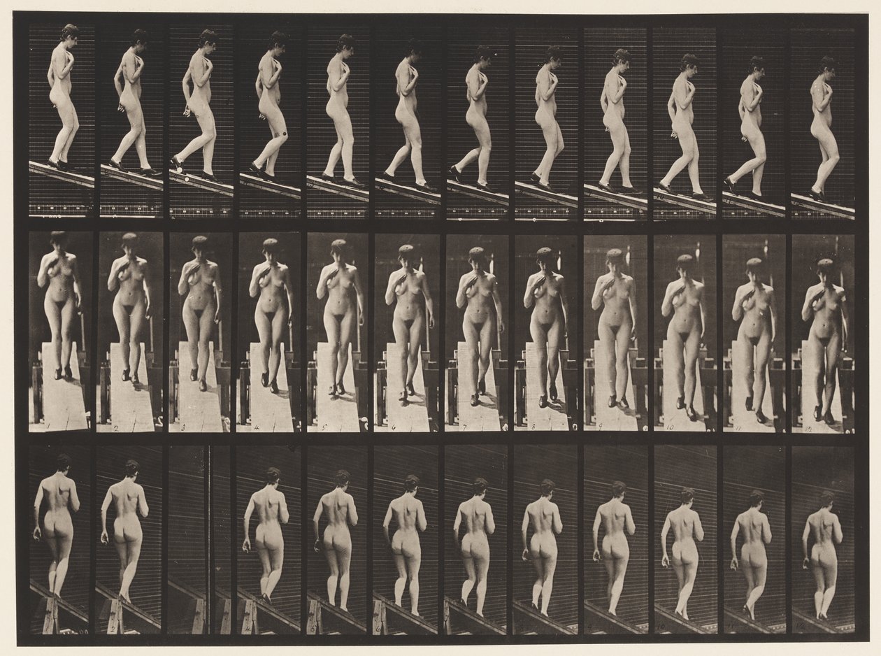 Plade 119. Faldende hældning, højre hånd på brystet (sko) af Eadweard Muybridge