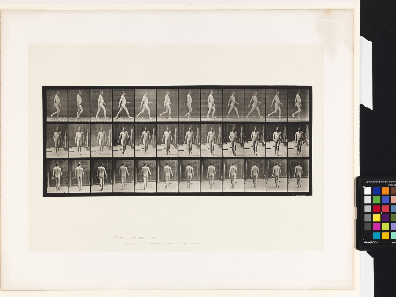 Plade 11.Gå af Eadweard Muybridge