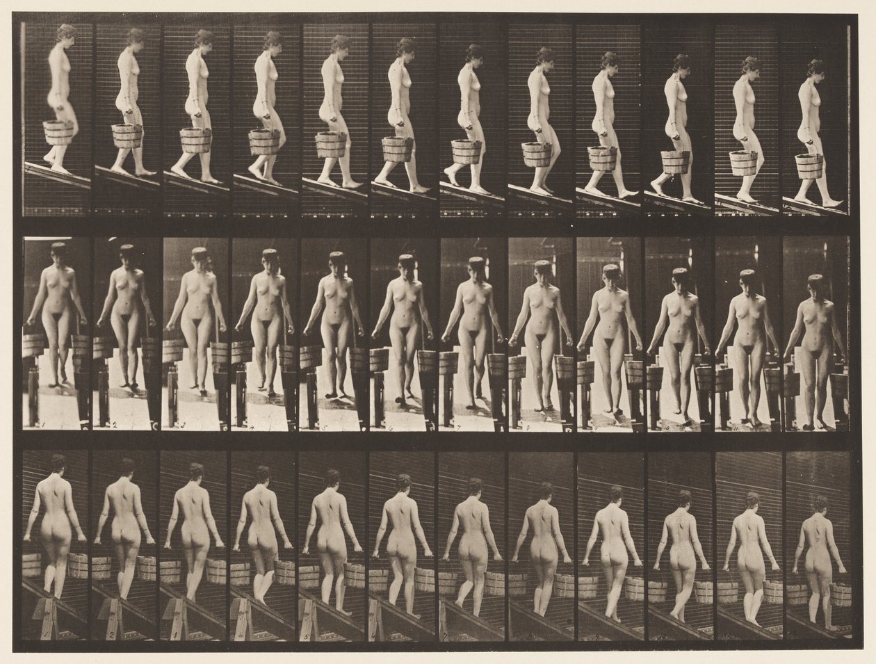 Plade 122. Faldende hældning, spand vand i hver hånd, 1872-1885 af Eadweard Muybridge