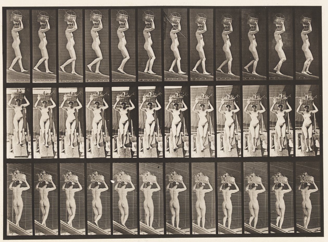Plade 123. Faldende hældning, 20-lb kurv på hovedet, hævede hænder, 1872-1885 af Eadweard Muybridge