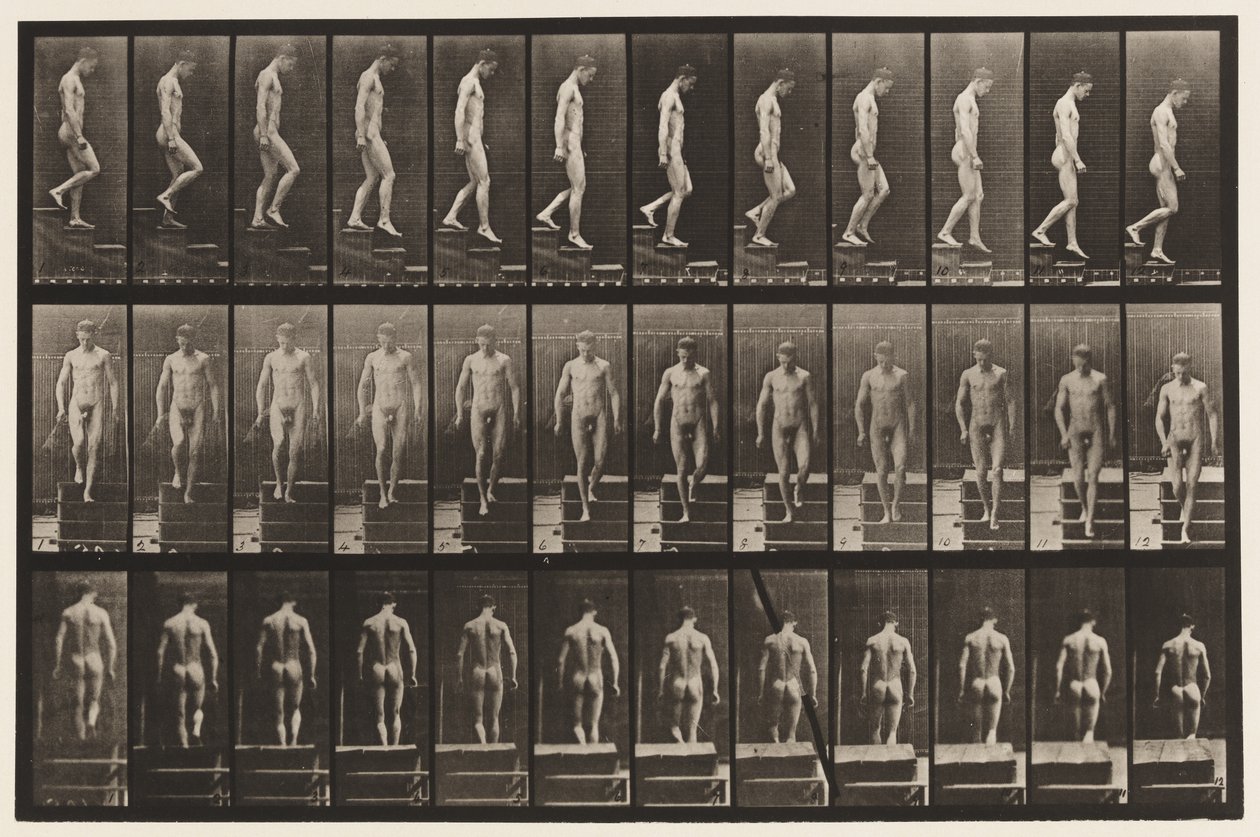 Tavle 125. Nedstigende Trapper af Eadweard Muybridge
