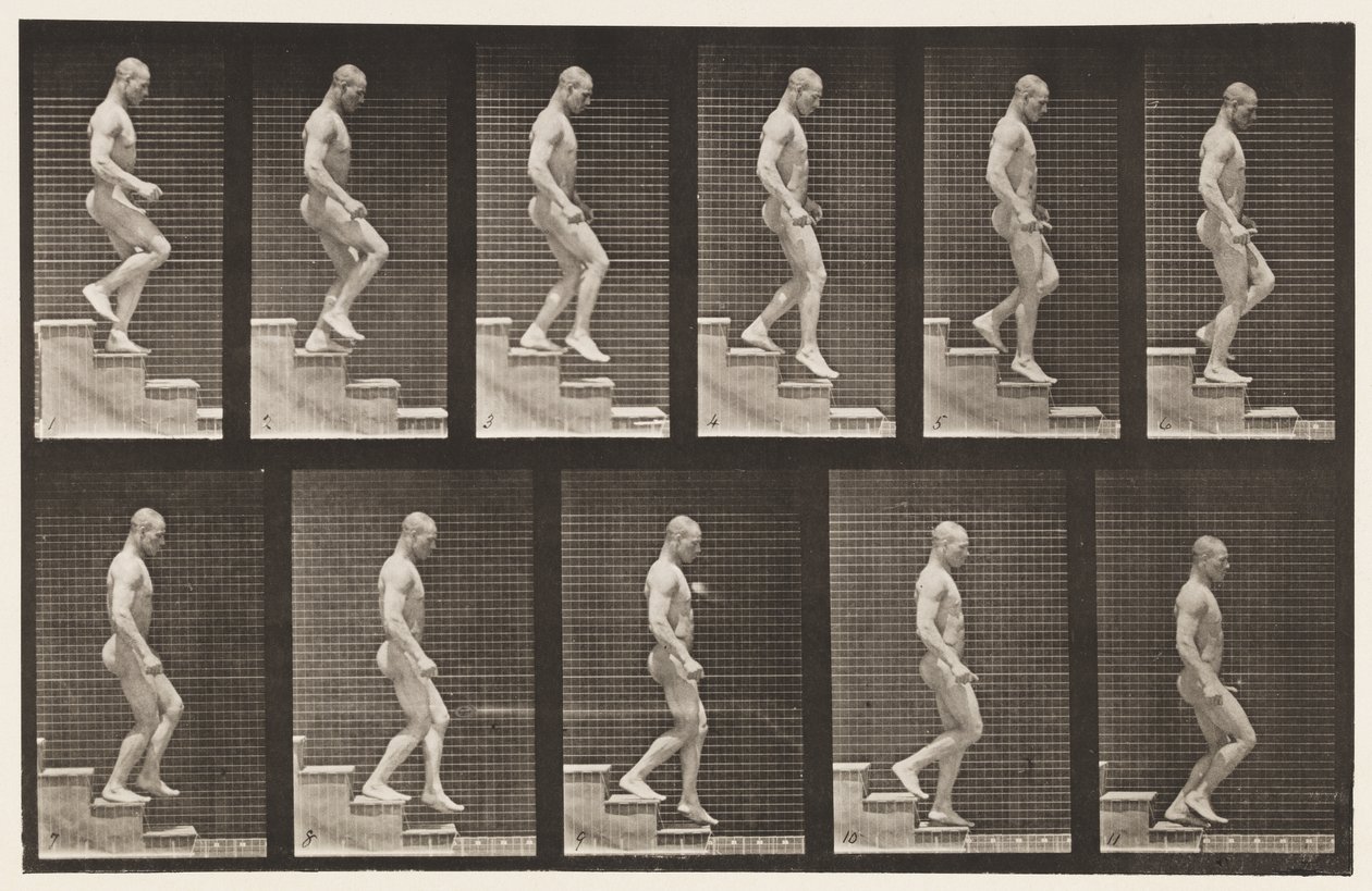 Tavle 126. Nedstigende Trapper af Eadweard Muybridge