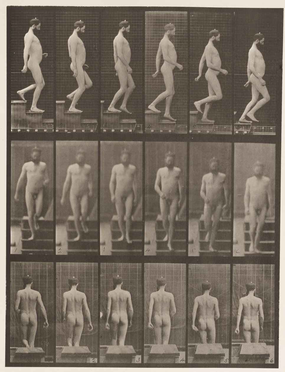 Tavle 127. Nedstigende trapper, 1872-1885 af Eadweard Muybridge