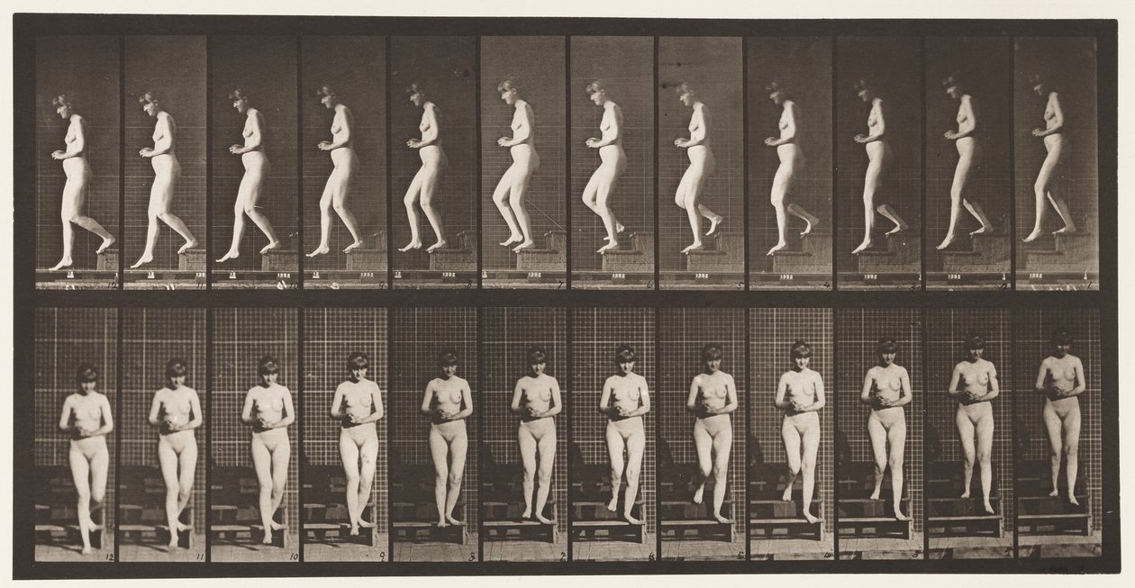 Plade 128. Nedadgående trapper, hænderne spændt, 1872-1885 af Eadweard Muybridge