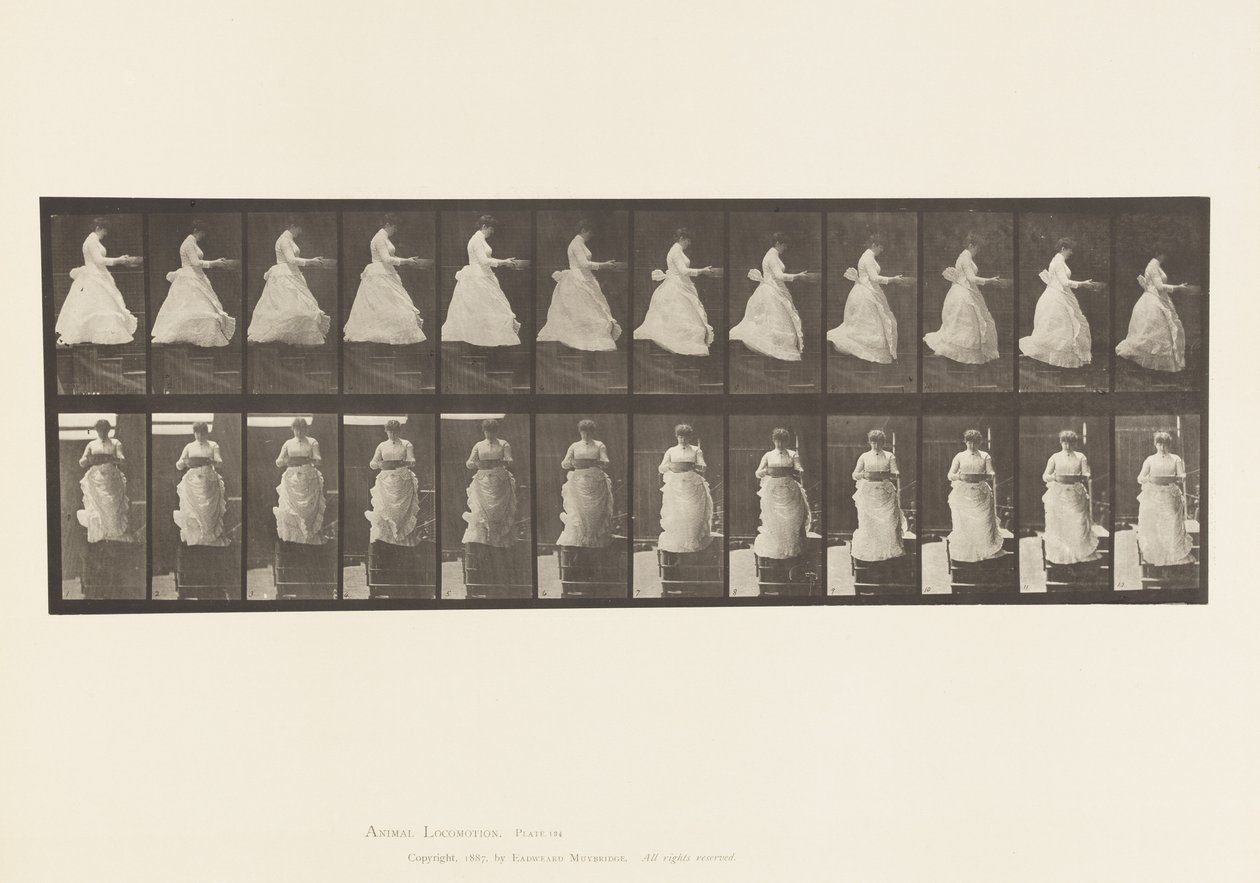 Tavle 134. Nedadgående trapper, med kumme i hænder af Eadweard Muybridge