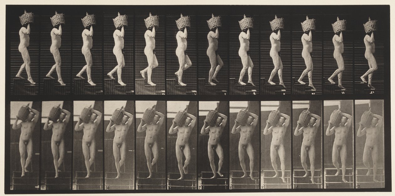 Plade 136. Faldende trapper fuld Demijohn på skulder, 1872-1885 af Eadweard Muybridge