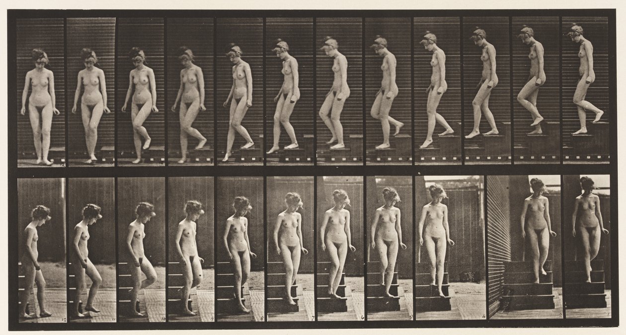 Tavle 137. Nedstigende Trapper, Vending Om af Eadweard Muybridge