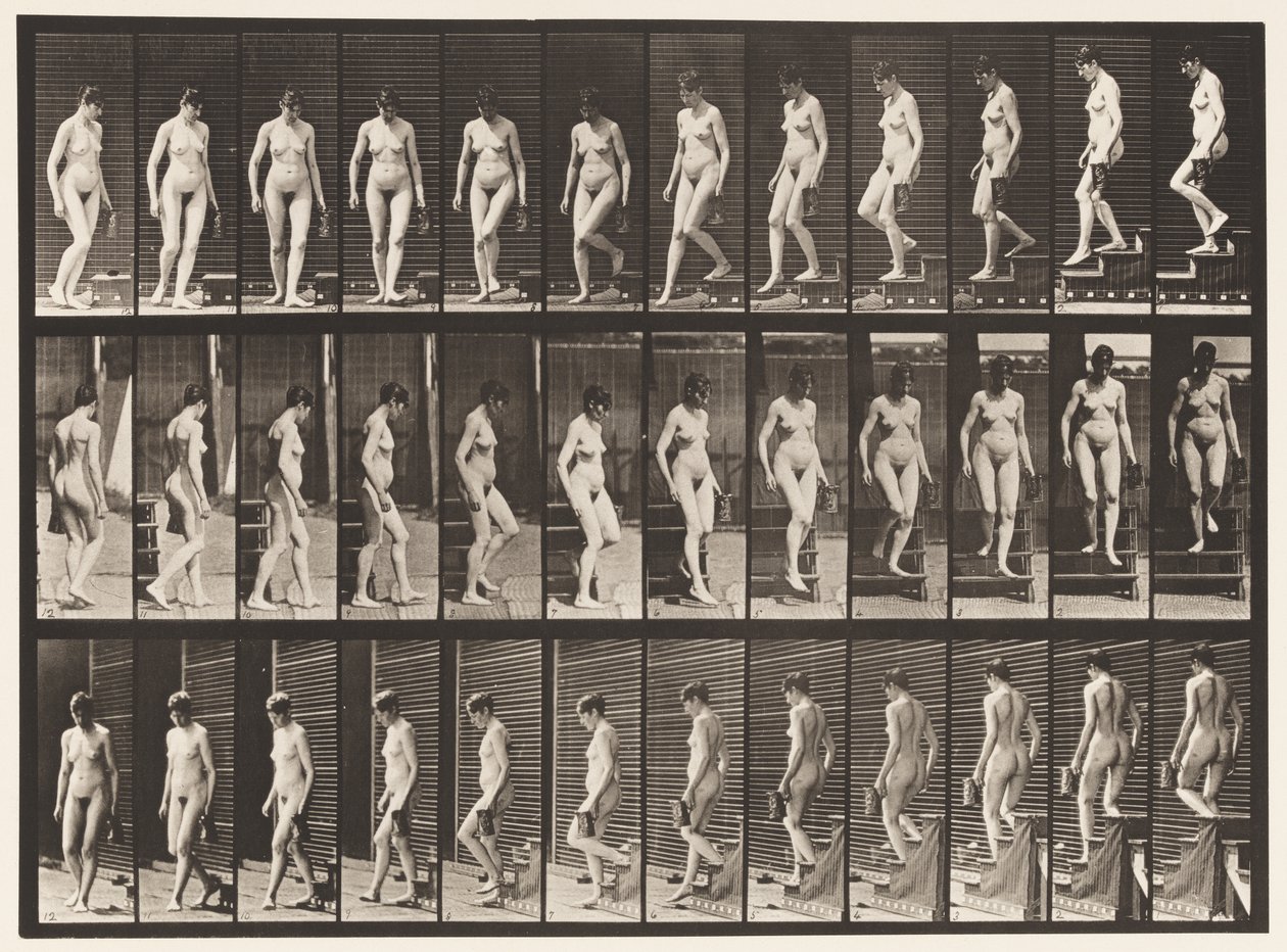 Plade 138. Nedadgående Trapper Drejning; Kande i venstre hånd af Eadweard Muybridge