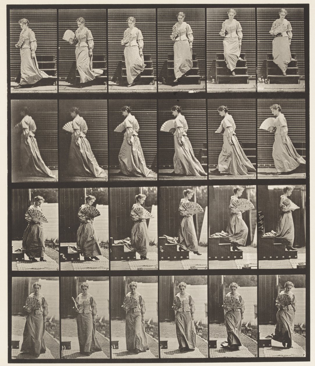 Plade 141. Nedgang og Flirtende Vifte af Eadweard Muybridge