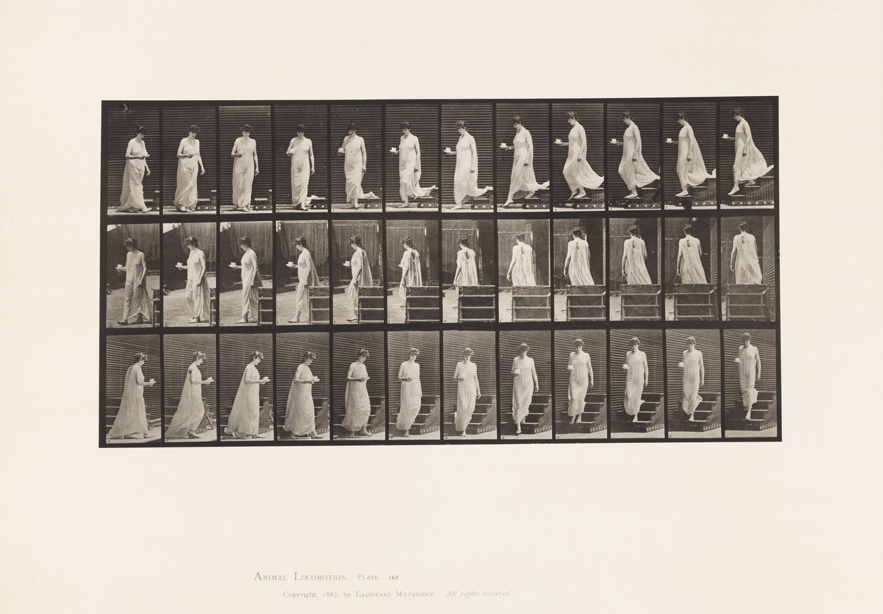 Tallerken 143. Nedadgående hældning, vende kop og underkop i højre hånd af Eadweard Muybridge