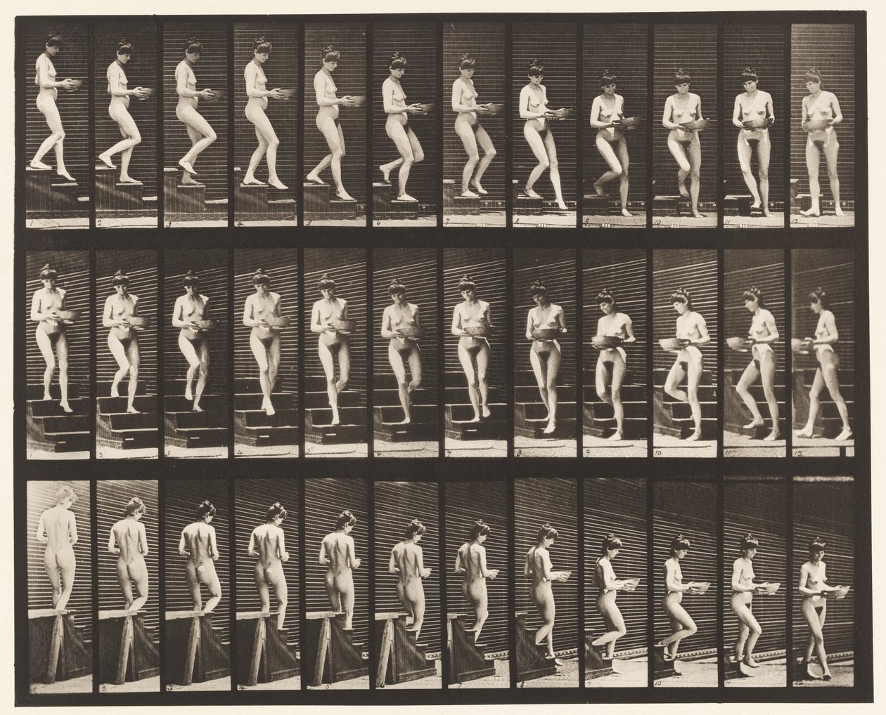 Tavle 144. Nedstigende Trapper; Drejebassin i hænder af Eadweard Muybridge