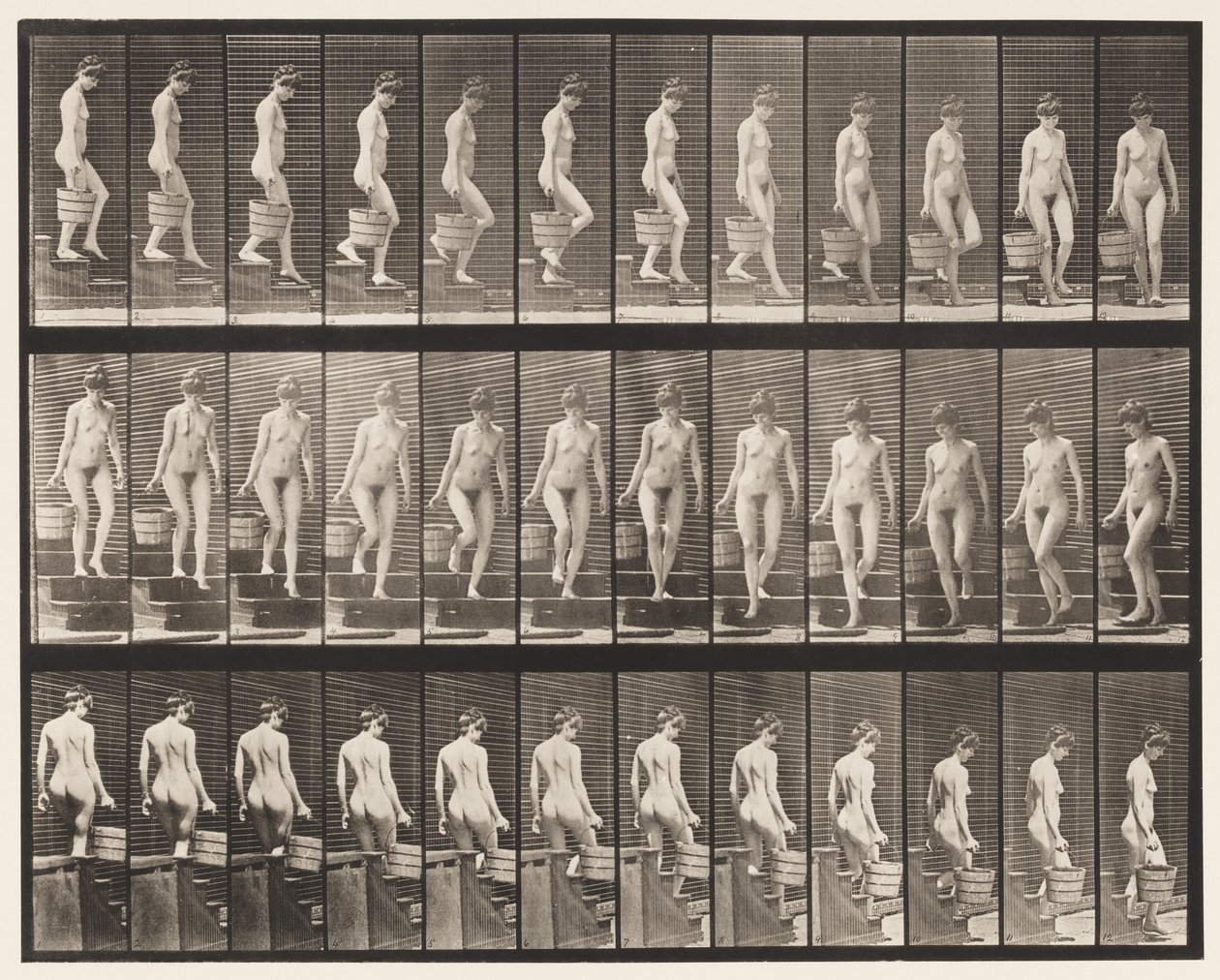 Tavle 145. Nedstigende Trapper; Drejning af spandvand i højre hånd, 1872-1885 af Eadweard Muybridge