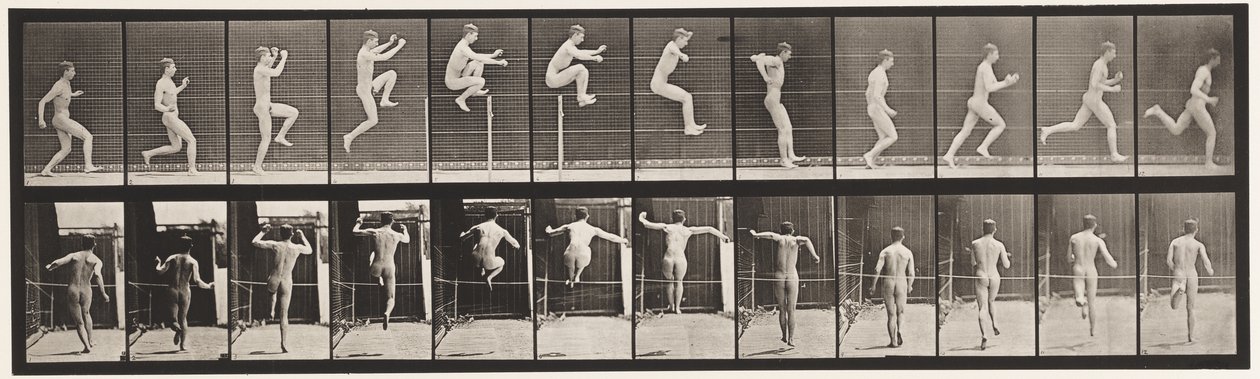 Tallerken 154. Springning; Løb lige, højdespring af Eadweard Muybridge