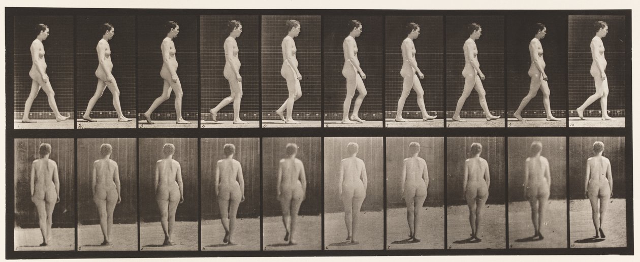Plade 15. Gå af Eadweard Muybridge