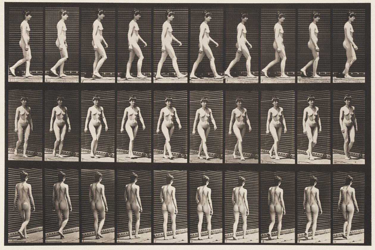 Tavle 16. Vandrende, 1872-1885 af Eadweard Muybridge