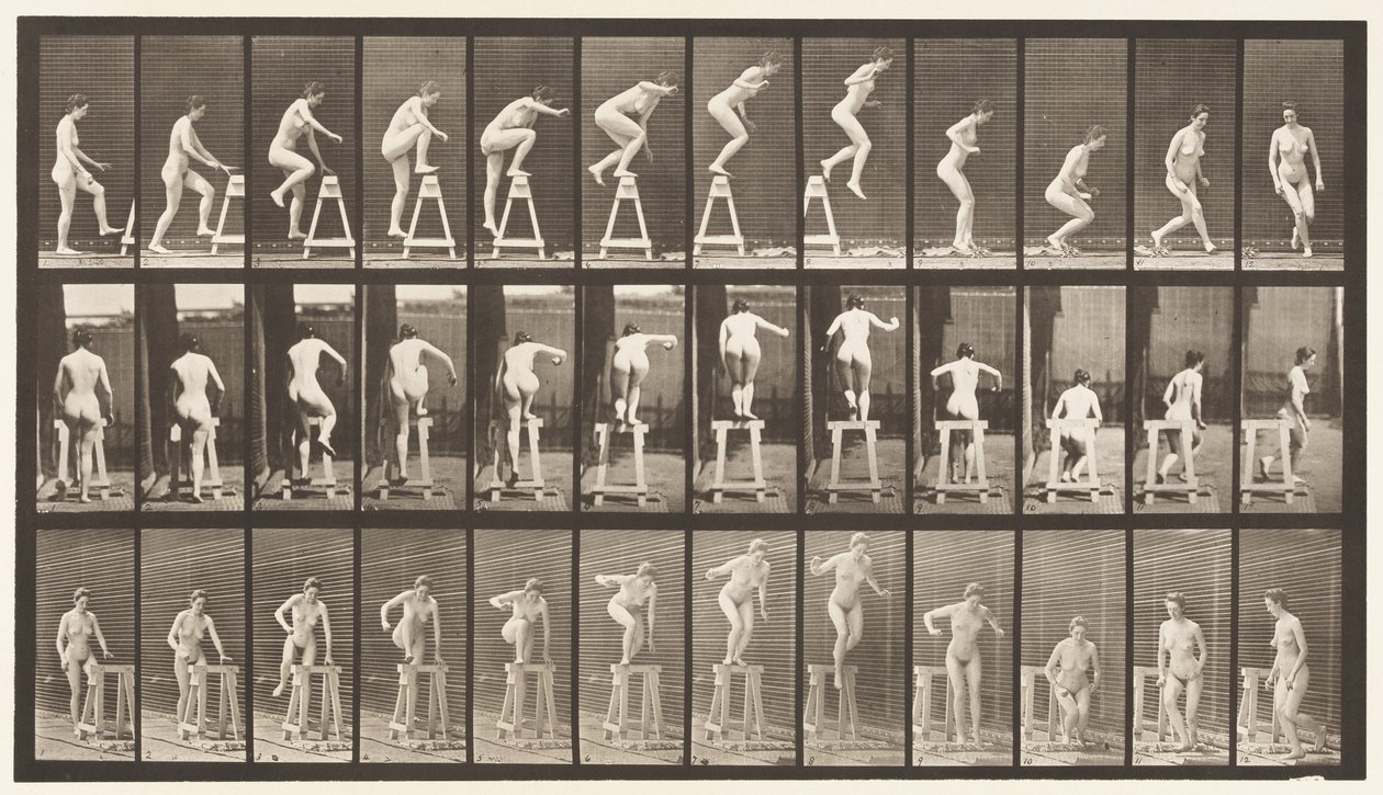 Tallerken 171. At træde på en bukke; Hoppe ned, dreje af Eadweard Muybridge