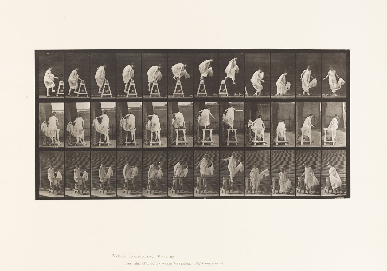 Tallerken 172. At træde på en buk; Jumping Down, Turning, 1885 af Eadweard Muybridge