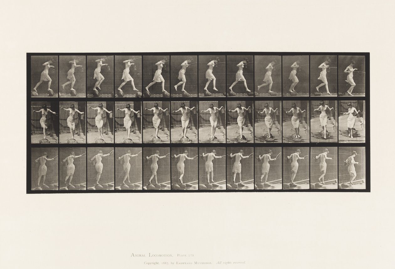 Tavle 175. Krydsende bæk på trappesten med fiskestang og dåse af Eadweard Muybridge