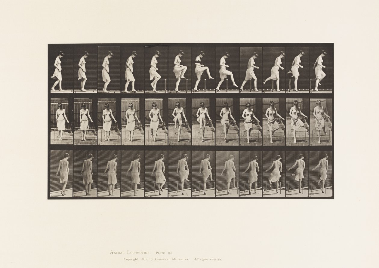 Plade 181. At træde over et hegn af Eadweard Muybridge