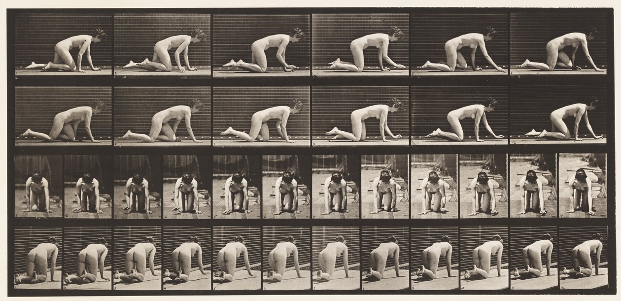 Tallerken 182. Kravlende på Hænder og Knæ af Eadweard Muybridge
