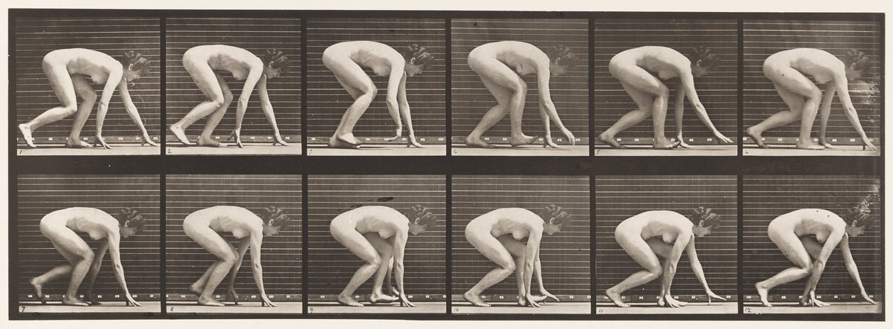 Tavle 183. Går på hænder og fødder af Eadweard Muybridge