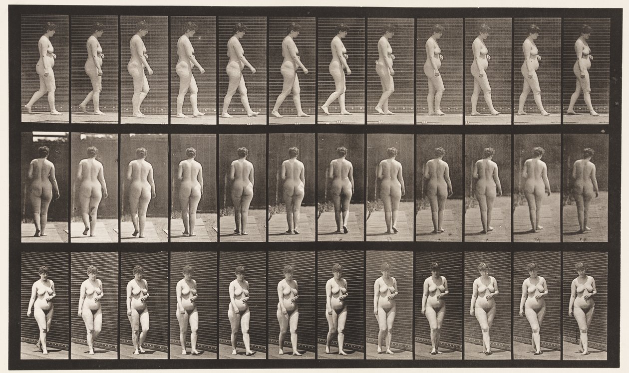 Plade 18. Gå, venstre hånd over maven, 1872-1885 af Eadweard Muybridge