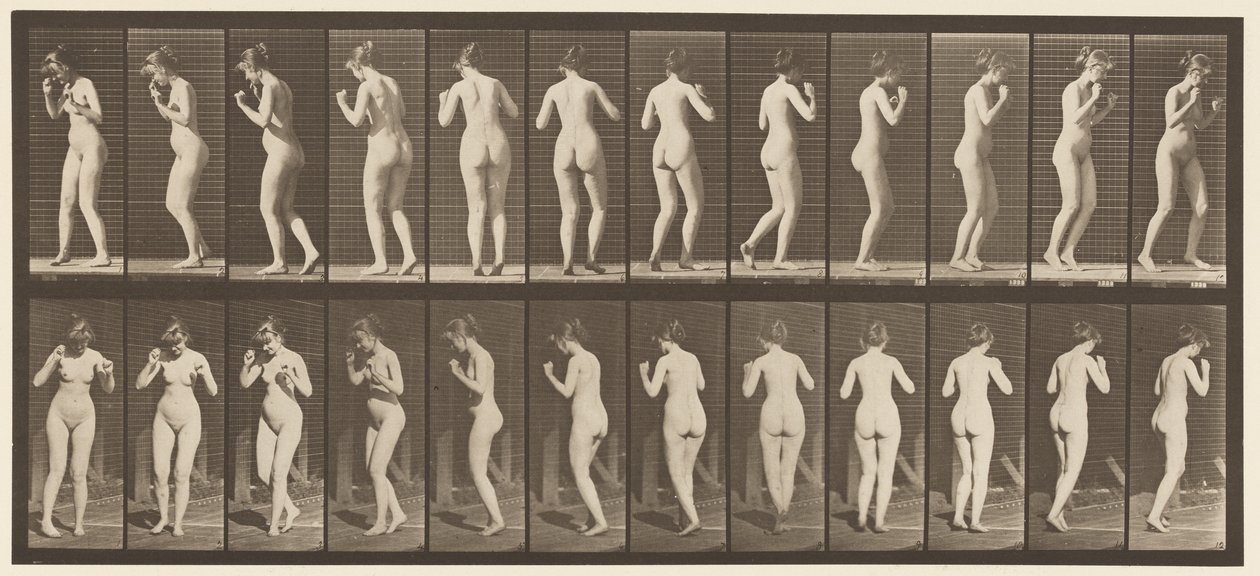 Tallerken 195. Dansende vals af Eadweard Muybridge