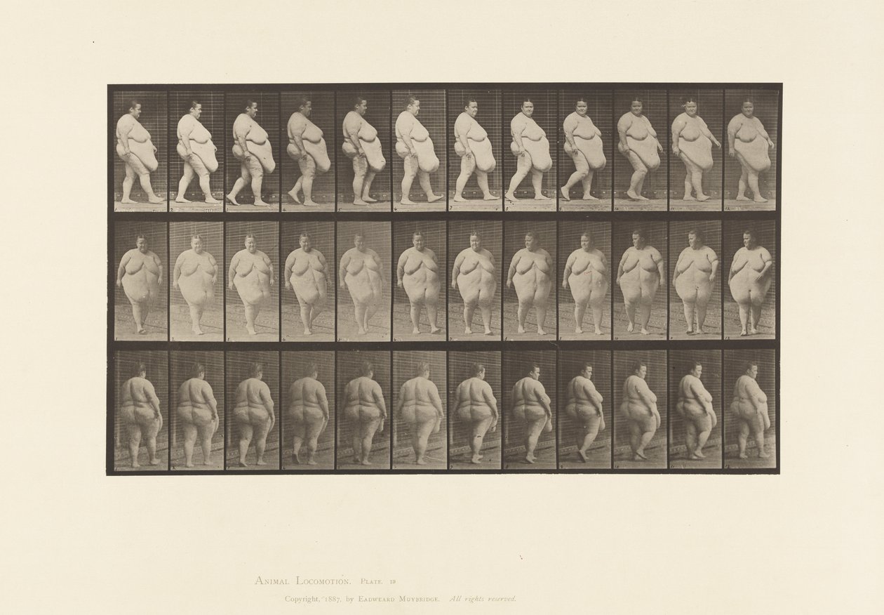 Plade 19. Gå, begynder at vende om af Eadweard Muybridge