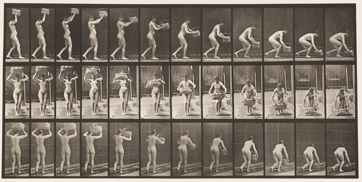Plade 201. Tager 12-lb kurv fra hovedet, sætter den på jorden, 1872-1885 af Eadweard Muybridge
