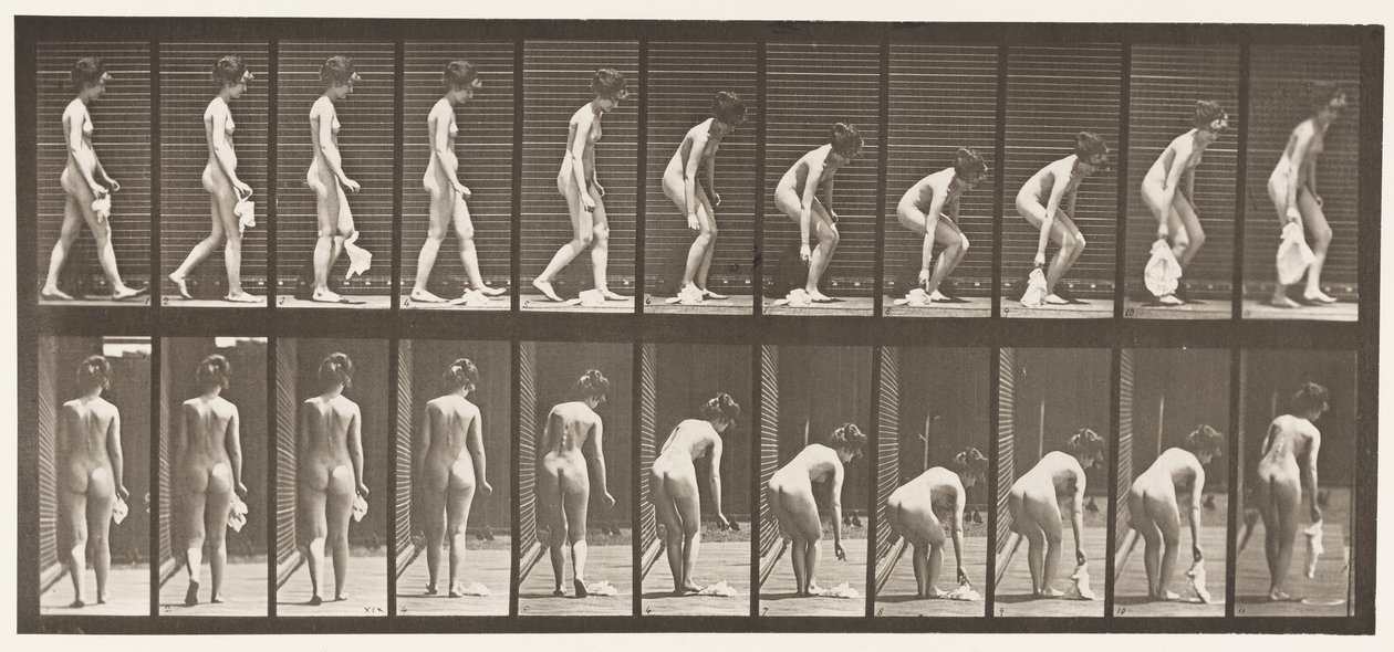 Tallerken 202. Tab og løft af et Lommetørklæde af Eadweard Muybridge