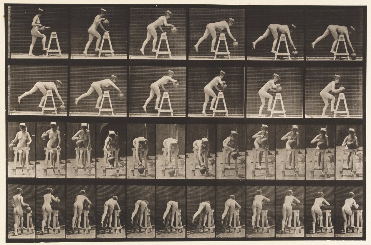 Tallerken 203. Bøjer sig over en bukke med vandkrukke af Eadweard Muybridge