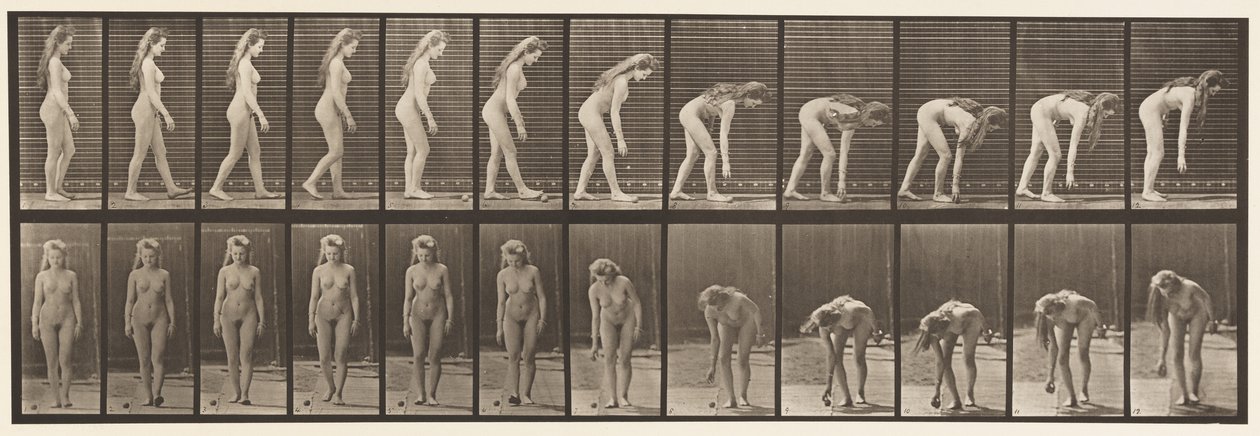 Plade 204. Stop for at samle bolden op af Eadweard Muybridge