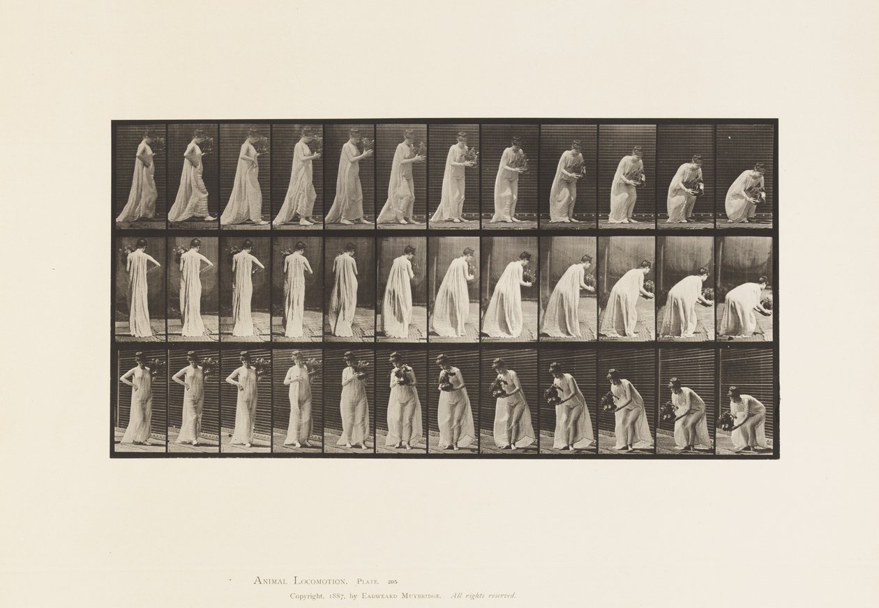 Tavle 205. Bære og bøje sig med vase, 1885 af Eadweard Muybridge