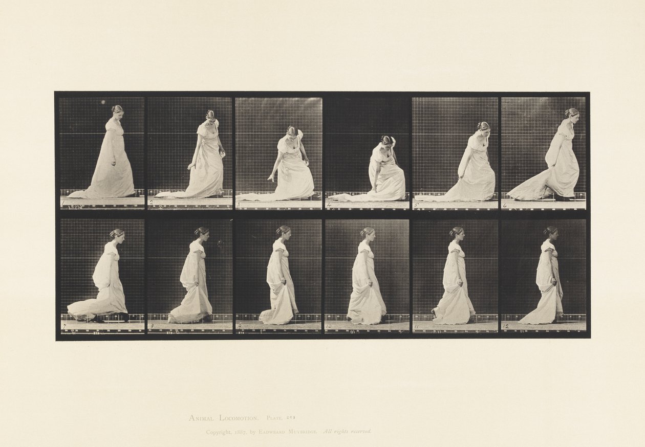 Tavle 207. Bøje- og løftetog, 1885 af Eadweard Muybridge