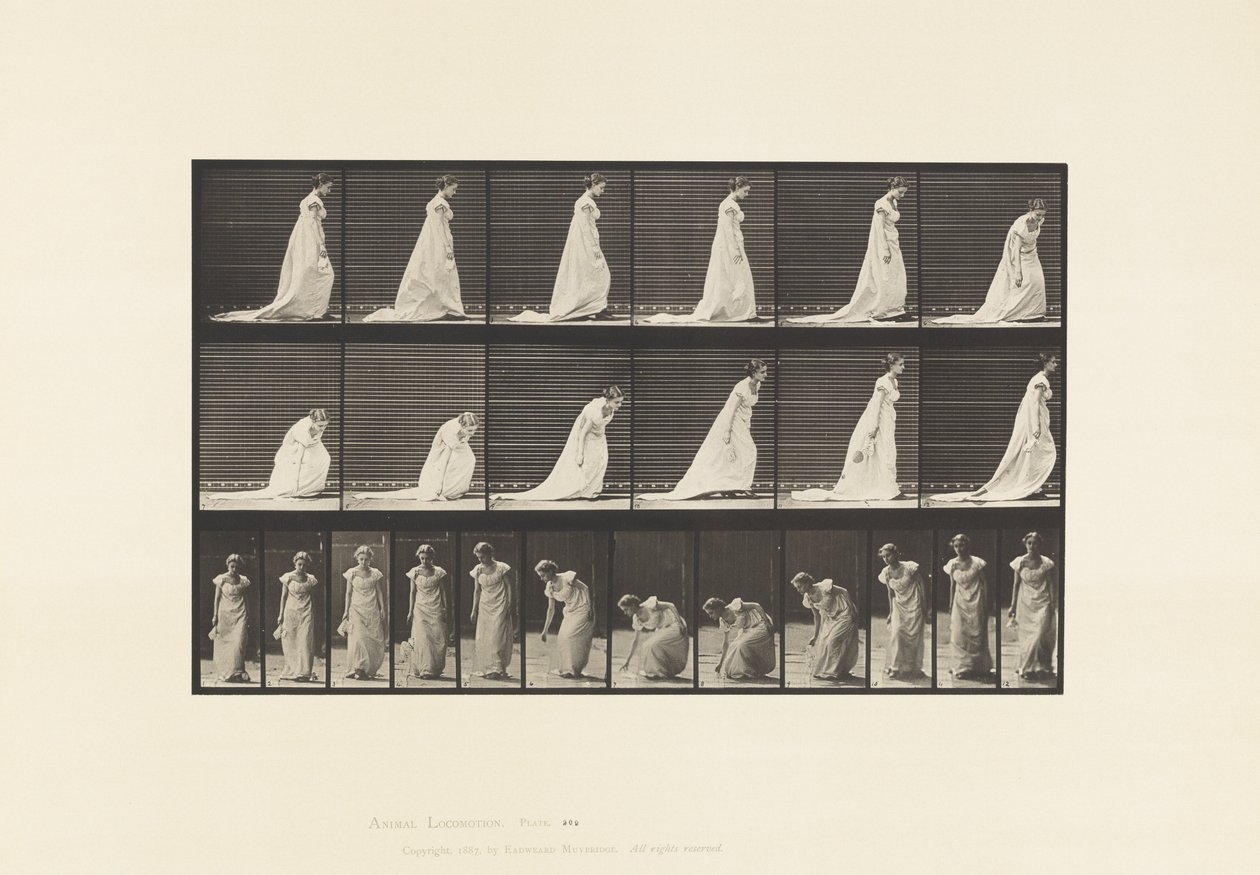 Tavle 209. Bøjning og løft af et tørklæde, 1885 af Eadweard Muybridge