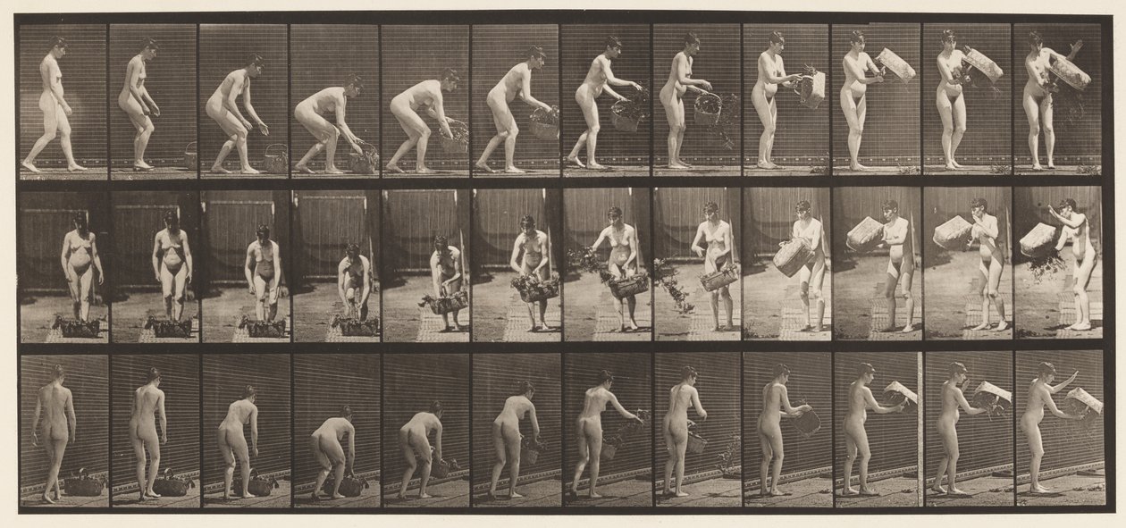 Plade 213. Løfte- og tømmekurv af Eadweard Muybridge