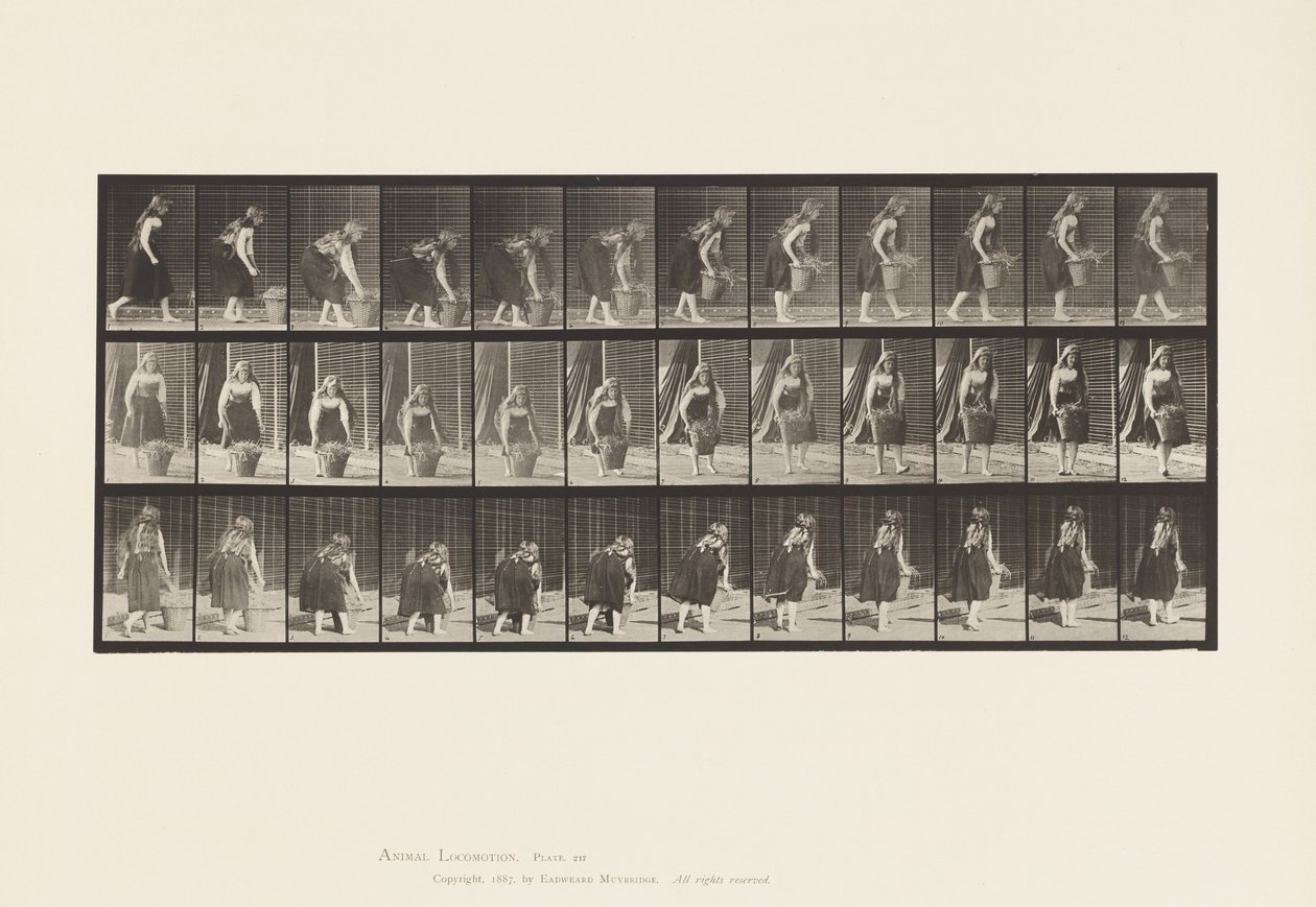 Plade 217. Bøje, løfte og bære 30 lb kurv, 1885 af Eadweard Muybridge