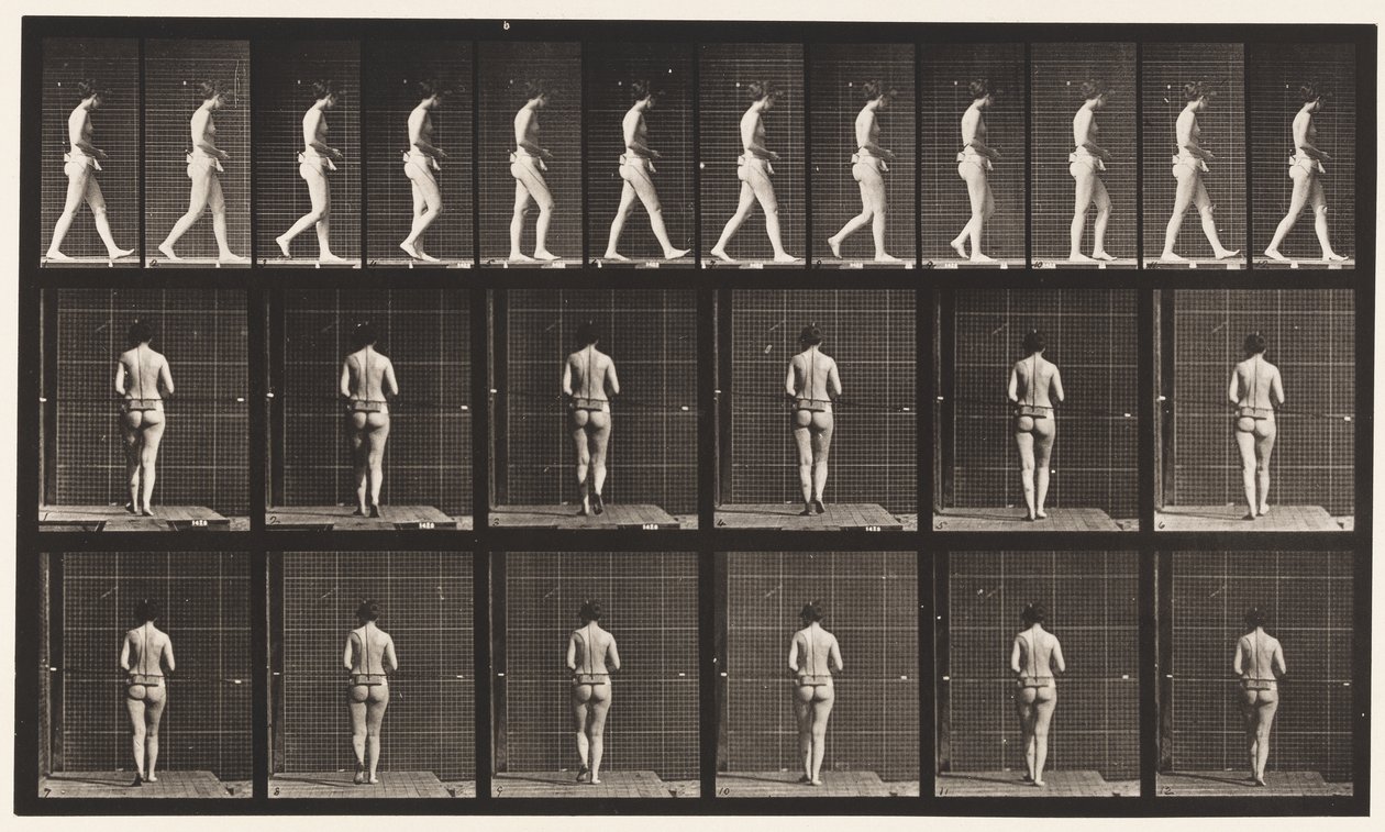Plade 21. Gående, begge albuer bøjet af Eadweard Muybridge
