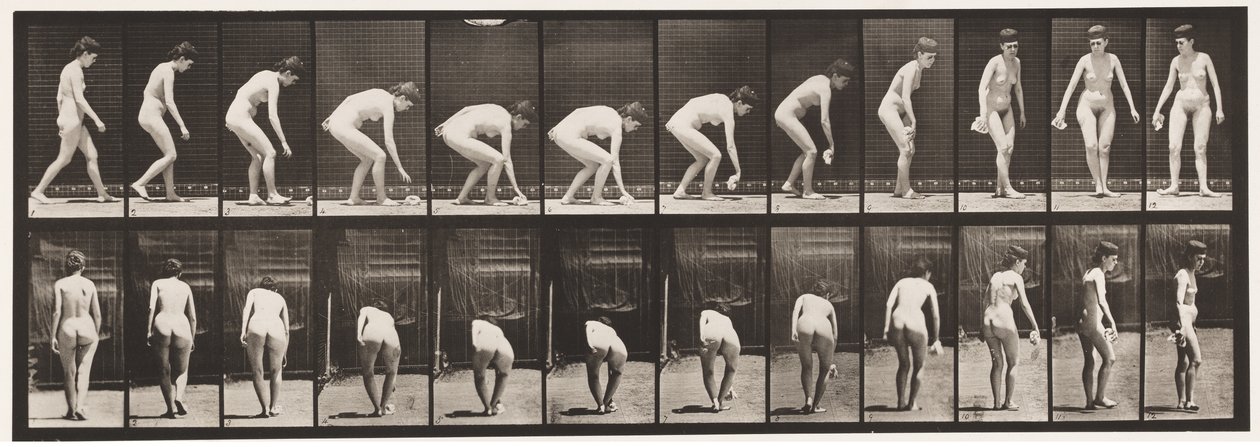 Tallerken 220. Bøje- og løftetørklæde og vende af Eadweard Muybridge