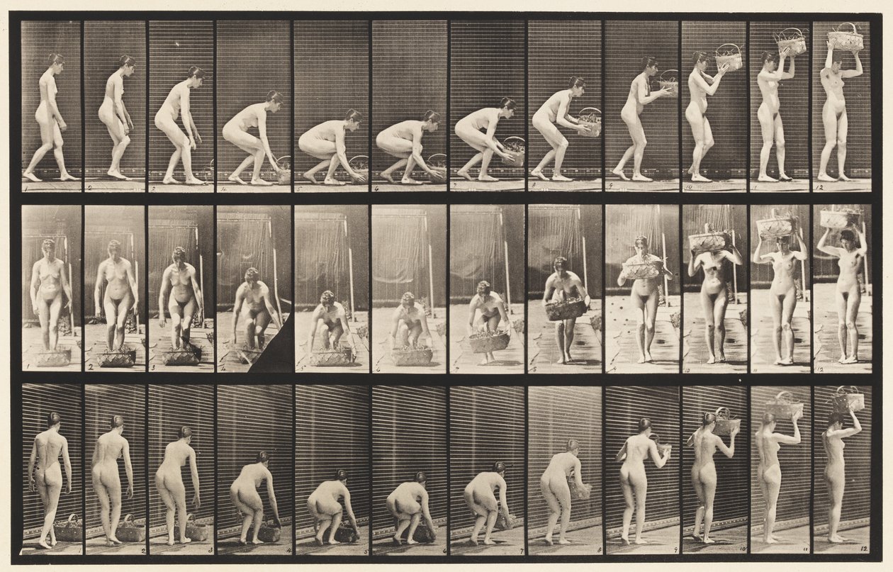 Plade 221. Bøjning og løft af 12 lb kurv til hoved af Eadweard Muybridge