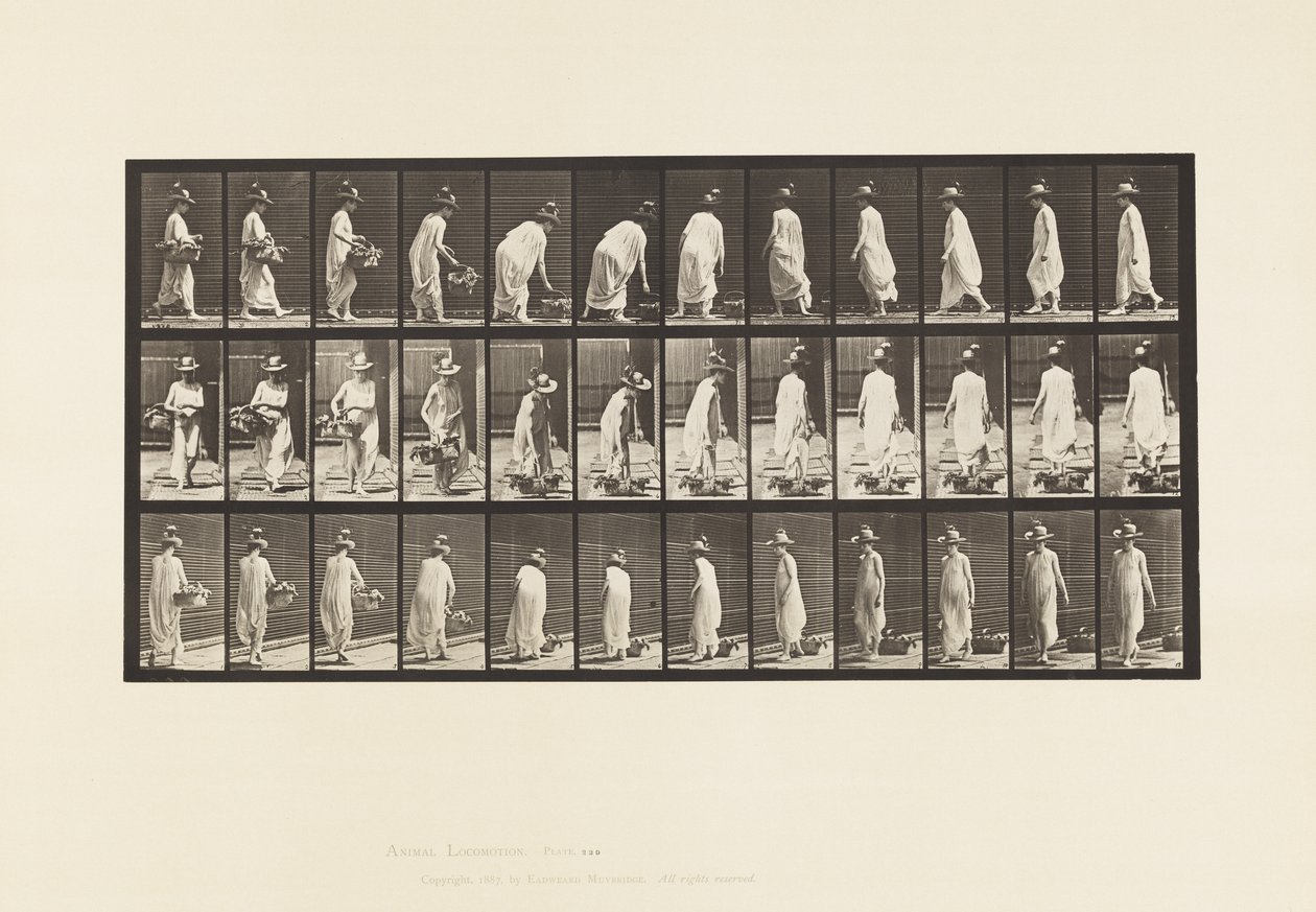 Plade 229. Anbringelse af kurv på jorden og drejning af Eadweard Muybridge