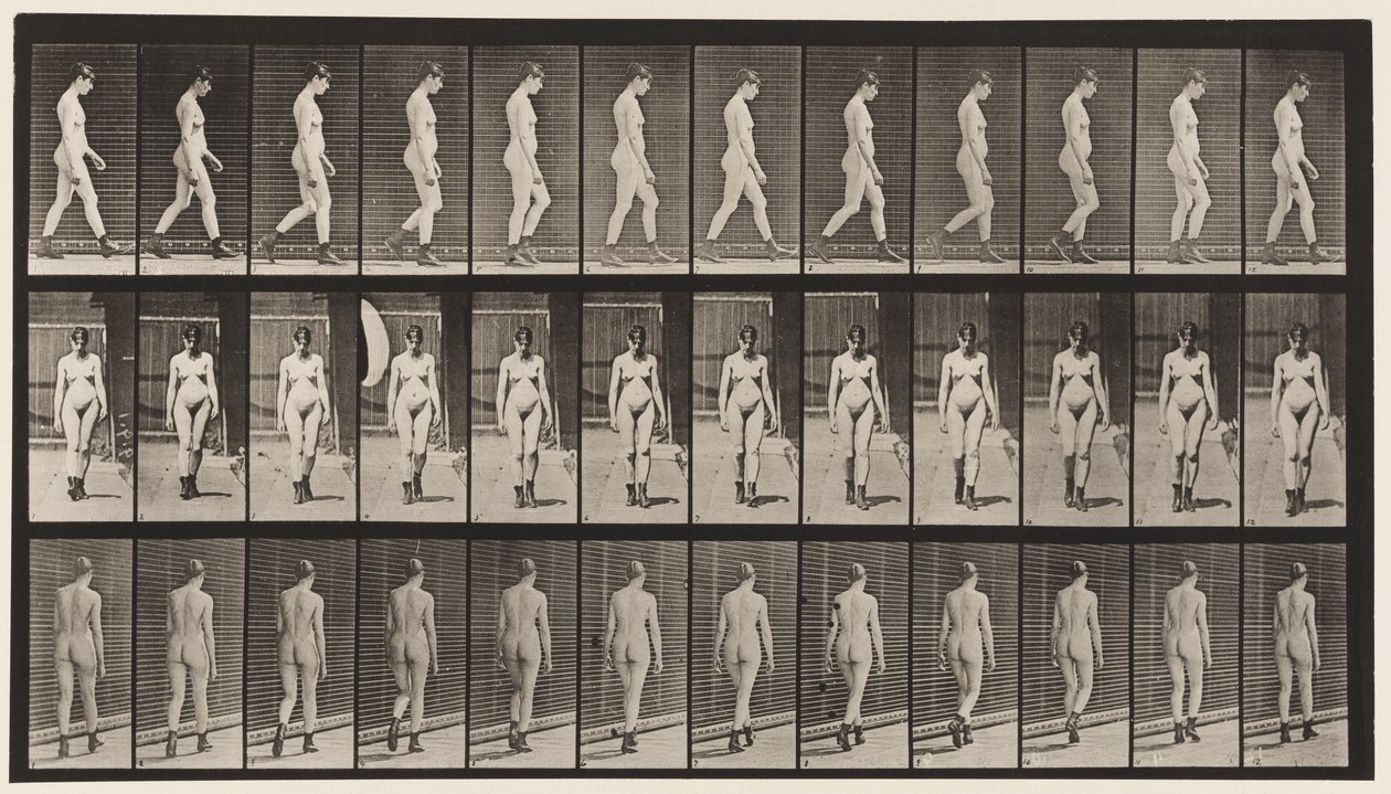 Plade 22. Gå, med højhælede støvler på, 1872-1885 af Eadweard Muybridge