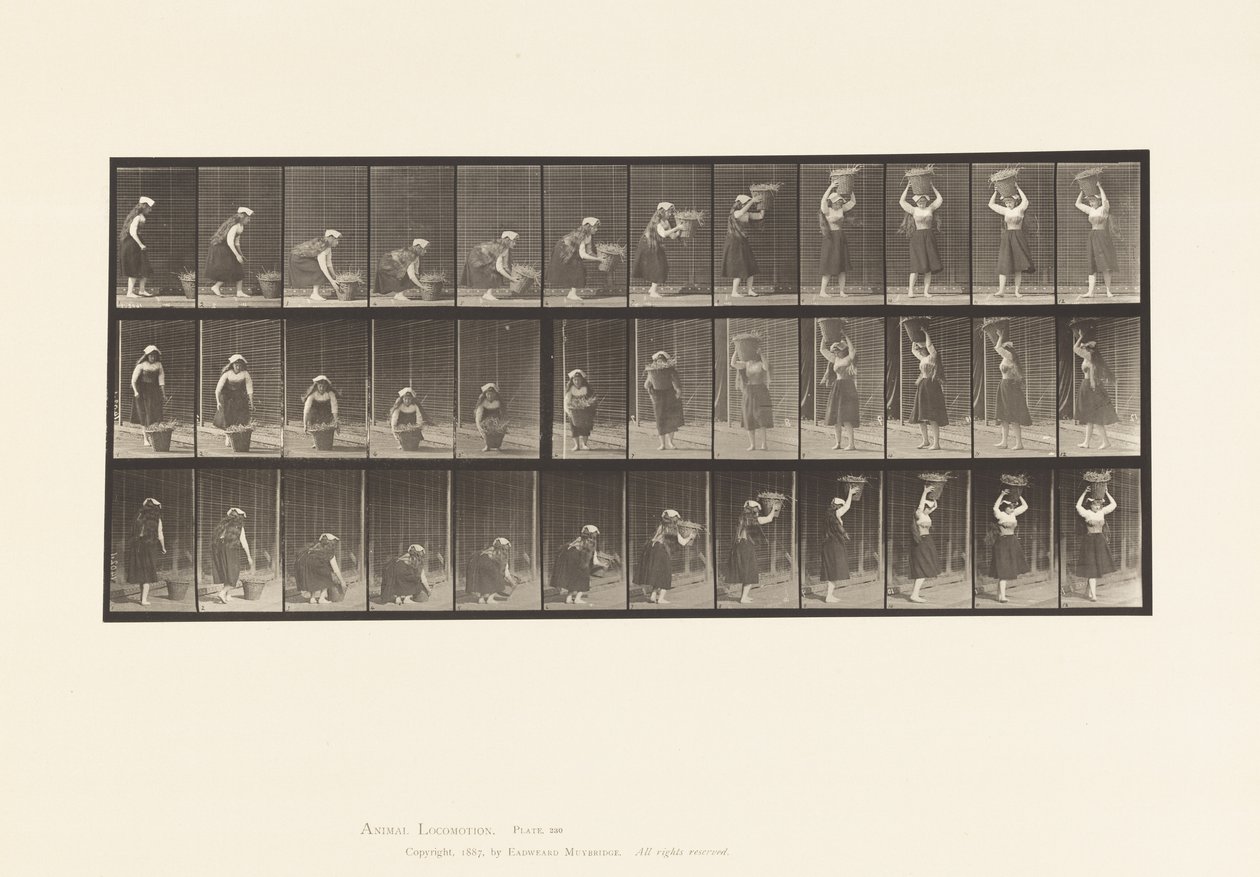 Plade 230. Løfter 30 lb kurv fra jord til hoved, drejning, 1885 af Eadweard Muybridge