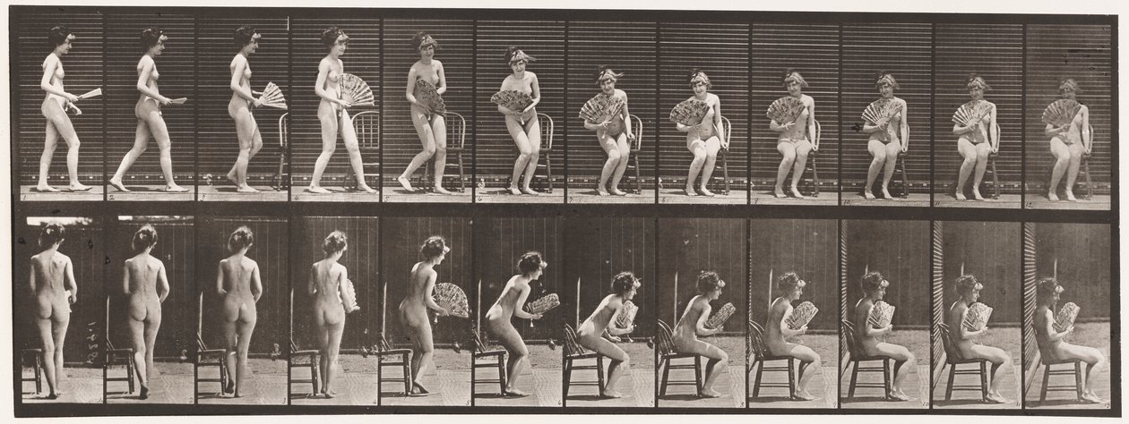 Plade 237. Siddende på stol og åbningsventilator, 1872-1885 af Eadweard Muybridge